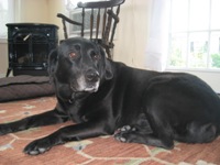 Charlie