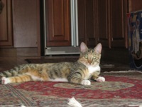 Emmie
