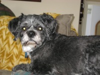 Lola