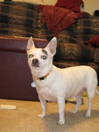 Lucy